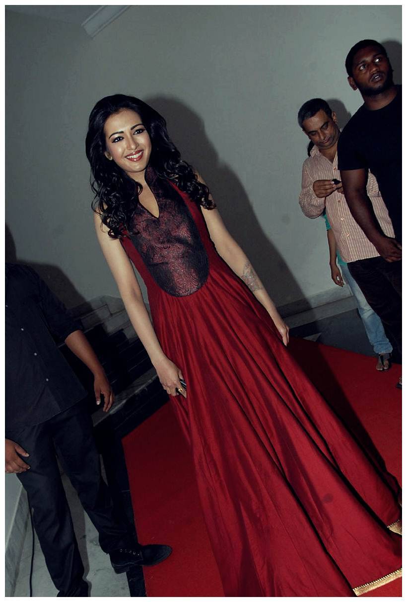 Catherine Tresa at Iddarammayilatho Audio Release Function | Picture 442722