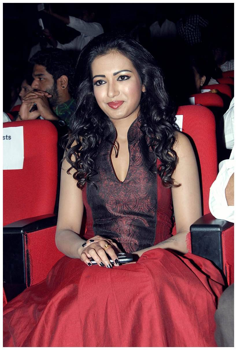 Catherine Tresa at Iddarammayilatho Audio Release Function | Picture 442725