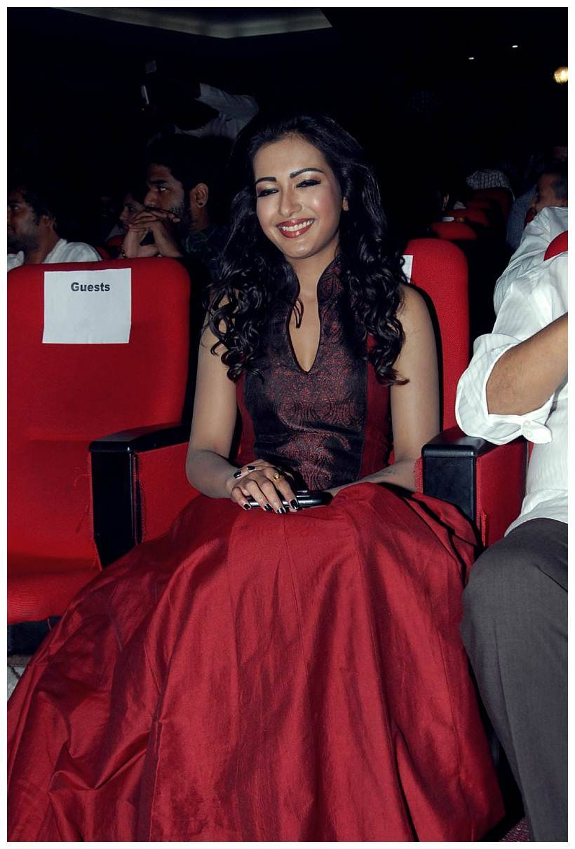 Catherine Tresa at Iddarammayilatho Audio Release Function | Picture 442744
