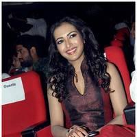 Catherine Tresa at Iddarammayilatho Audio Release Function | Picture 442686