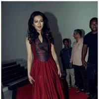 Catherine Tresa at Iddarammayilatho Audio Release Function | Picture 442690