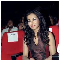 Catherine Tresa at Iddarammayilatho Audio Release Function | Picture 442694