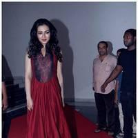 Catherine Tresa at Iddarammayilatho Audio Release Function | Picture 442695