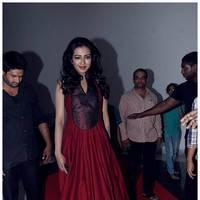 Catherine Tresa at Iddarammayilatho Audio Release Function | Picture 442699