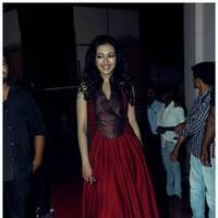 Catherine Tresa at Iddarammayilatho Audio Release Function | Picture 442700