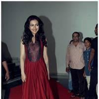 Catherine Tresa at Iddarammayilatho Audio Release Function | Picture 442702