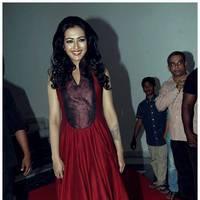 Catherine Tresa at Iddarammayilatho Audio Release Function | Picture 442703
