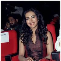 Catherine Tresa at Iddarammayilatho Audio Release Function | Picture 442704