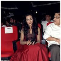 Catherine Tresa at Iddarammayilatho Audio Release Function | Picture 442707
