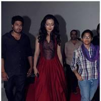 Catherine Tresa at Iddarammayilatho Audio Release Function | Picture 442719