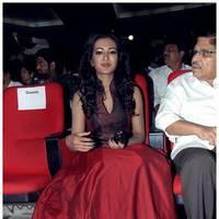 Catherine Tresa at Iddarammayilatho Audio Release Function | Picture 442720