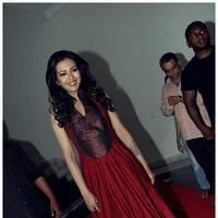 Catherine Tresa at Iddarammayilatho Audio Release Function | Picture 442722