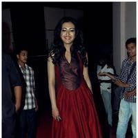 Catherine Tresa at Iddarammayilatho Audio Release Function | Picture 442724