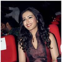 Catherine Tresa at Iddarammayilatho Audio Release Function | Picture 442728