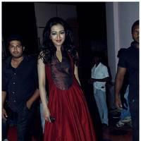 Catherine Tresa at Iddarammayilatho Audio Release Function | Picture 442736