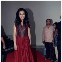 Catherine Tresa at Iddarammayilatho Audio Release Function | Picture 442741