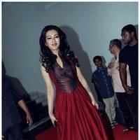 Catherine Tresa at Iddarammayilatho Audio Release Function | Picture 442743