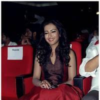 Catherine Tresa at Iddarammayilatho Audio Release Function | Picture 442744