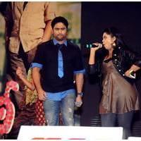 Iddarammayilatho Audio Launch Function | Picture 443334