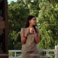 Panchi Bora - Yamini Chandra Sekhar Movie Stills | Picture 527434