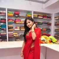 Madhavi Latha - Madhavi Latha Launches Sree Parinaya Designer Showroom Photos | Picture 533581