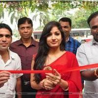 Madhavi Latha Launches Sree Parinaya Designer Showroom Photos | Picture 533615