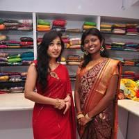 Madhavi Latha Launches Sree Parinaya Designer Showroom Photos | Picture 533616