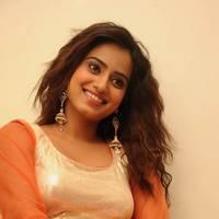 Dimple Chopda at Mahesh Audio Release Function Photos | Picture 535548