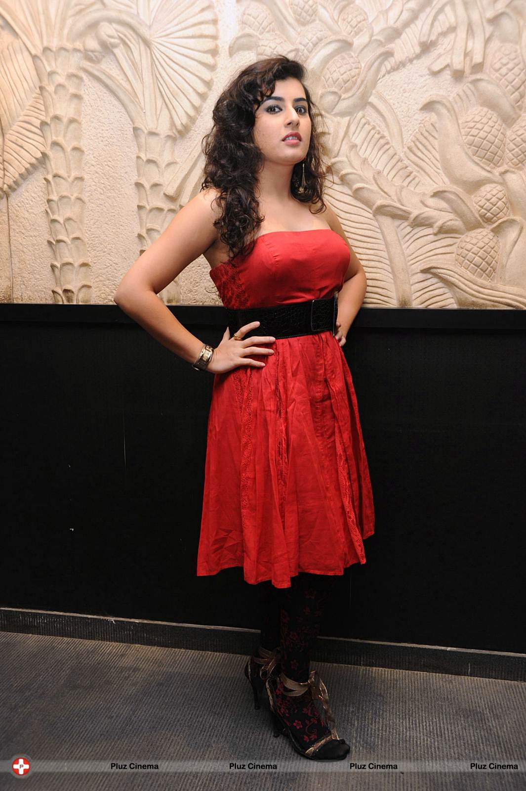 Archana at Panchami Audio Launch Function Photos | Picture 537874
