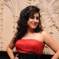 Archana at Panchami Audio Launch Function Photos | Picture 537858