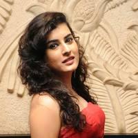 Archana at Panchami Audio Launch Function Photos | Picture 537860