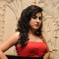 Archana at Panchami Audio Launch Function Photos | Picture 537865