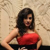 Archana at Panchami Audio Launch Function Photos | Picture 537869
