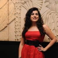 Archana at Panchami Audio Launch Function Photos | Picture 537871