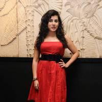 Archana at Panchami Audio Launch Function Photos | Picture 537877