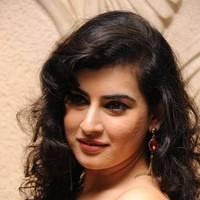 Archana at Panchami Audio Launch Function Photos | Picture 537878