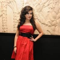 Archana at Panchami Audio Launch Function Photos | Picture 537883