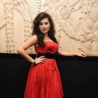 Archana at Panchami Audio Launch Function Photos | Picture 537886