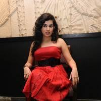 Archana at Panchami Audio Launch Function Photos | Picture 537904