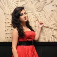 Archana at Panchami Audio Launch Function Photos | Picture 537906