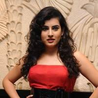Archana at Panchami Audio Launch Function Photos | Picture 537909