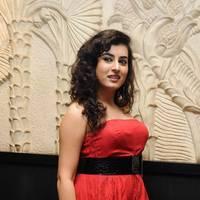 Archana at Panchami Audio Launch Function Photos | Picture 537913
