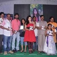 Panchami Audio Release Function Photos | Picture 538094