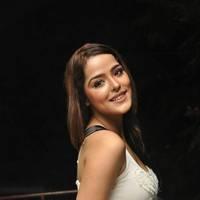 Priyanka Chabra At Athadu Aame O Scooter Press Meet Photos | Picture 540453