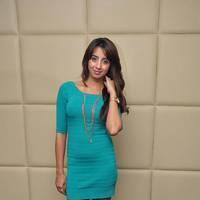 Sanjana Galrani at Tollywood Cinema Channel Launching Press Meet Photos | Picture 545940