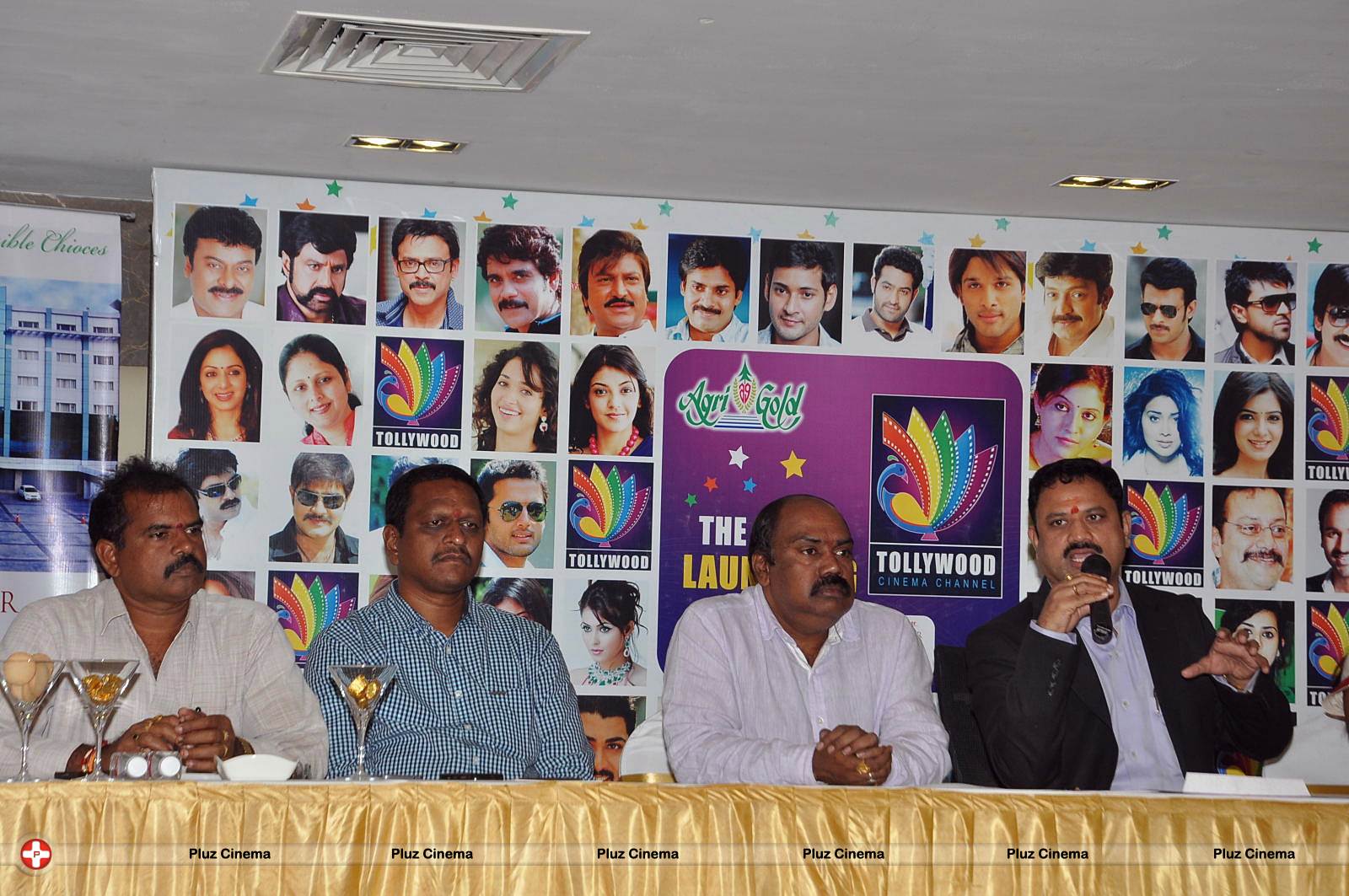 Tollywood Cinema Channel Launching Press Meet Photos | Picture 545855