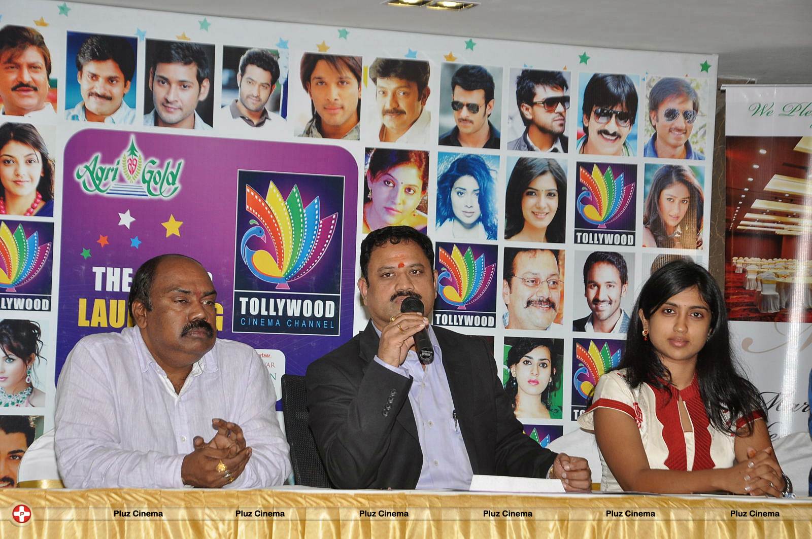 Tollywood Cinema Channel Launching Press Meet Photos | Picture 545870