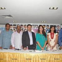 Tollywood Cinema Channel Launching Press Meet Photos | Picture 545858