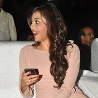 Kajal Agarwal Hot at Tollywood Channel Opening Function Photos | Picture 547438