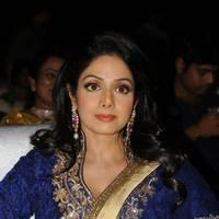 Sridevi Kapoor - Tollywood Cinema Channel Opening Ceremony Photos | Picture 548100